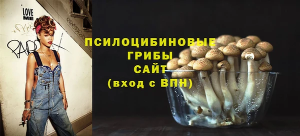МДПВ Богородск