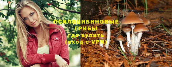 MDMA Богородицк