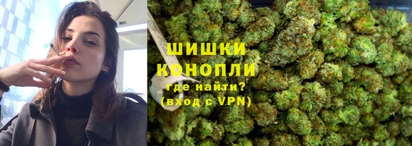МДПВ Богородск