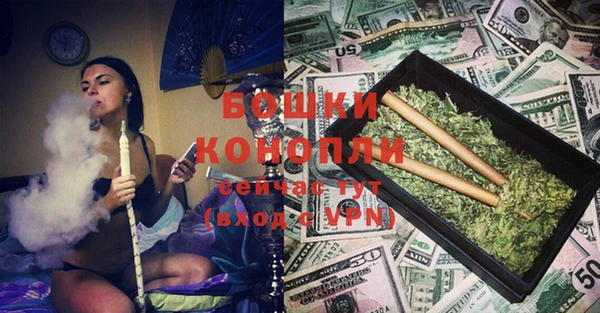 МДПВ Богородск