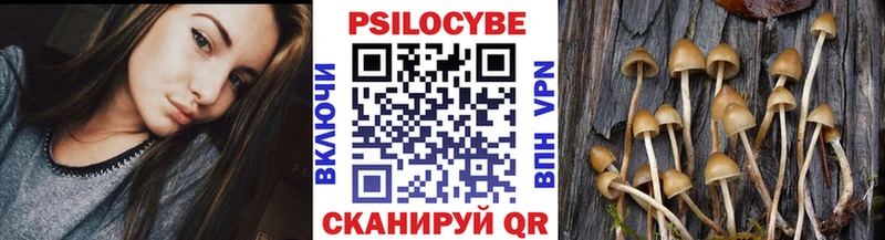 Галлюциногенные грибы ЛСД  Котельнич 